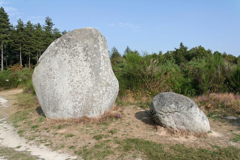 Menhirs du Bois du Fourgon