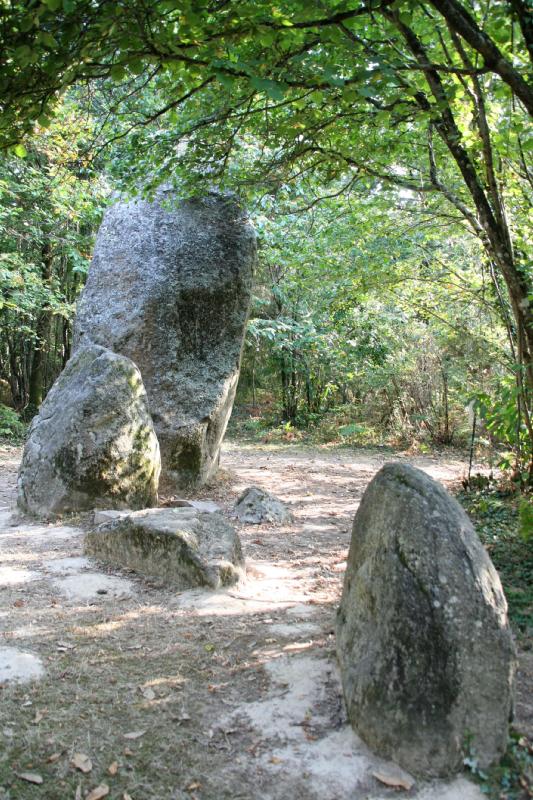 Menhirs du Bois du Fourgon