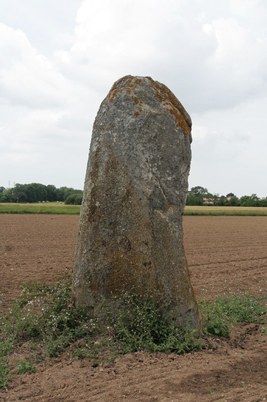 Pierre à l'Huile