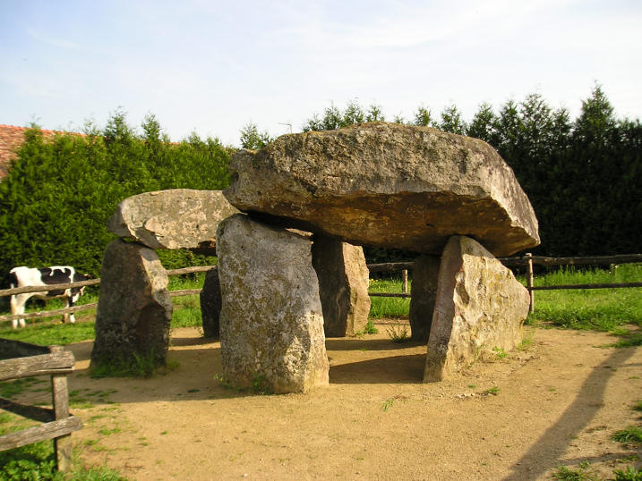 http://www.megalithic.co.uk/a558/a312/gallery/France/Pays_de_la_Loire/P4300906a_Dolmen_des_Erves.jpg