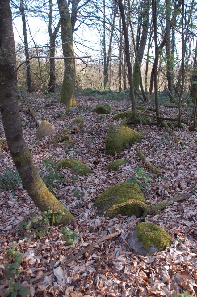 Click for full size image of Allée Couverte du Bois de Broussault (PID:239312) Allée Couverte du Bois de Broussault
