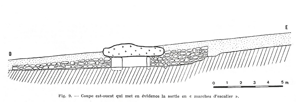 Diagram of the site

Source: Dolmen de la Pierre Levée à Nieul sur l'Autise by Roger Joussaume