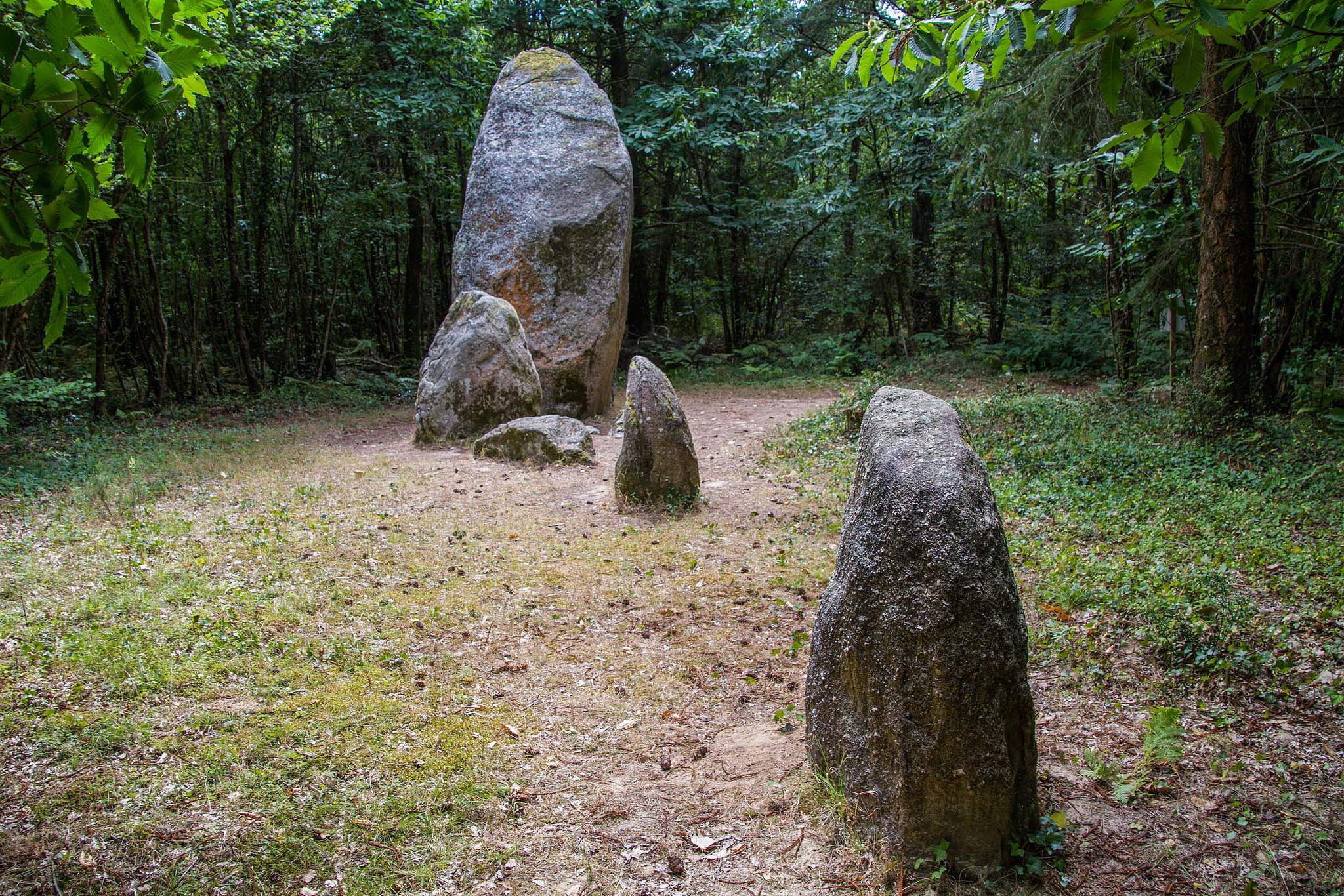 Menhirs du Bois du Fourgon