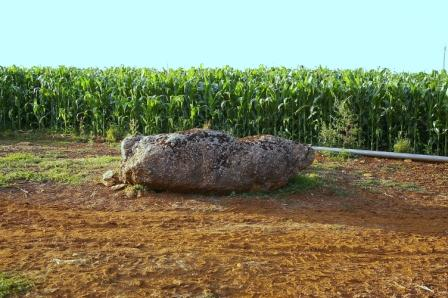 Menhir des Landes (PID:49729) Menhir des Landes