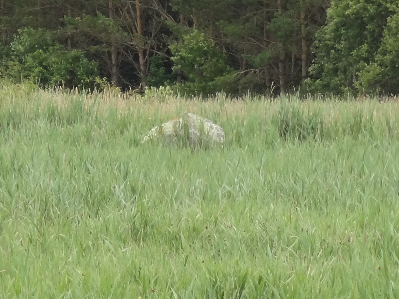 La Pierre De Len Menhir