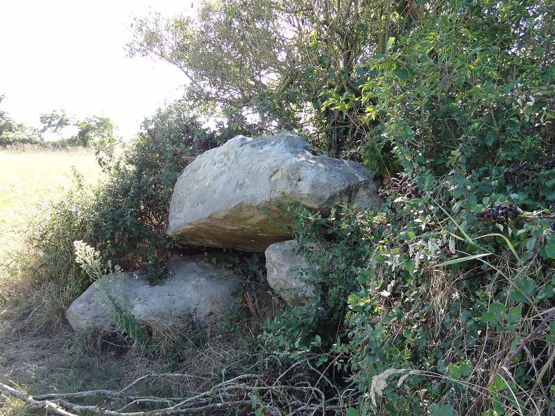 Click for full size image of Dolmen dit La Salle des Fées (PID:178342) Dolmen dit La Salle des Fées