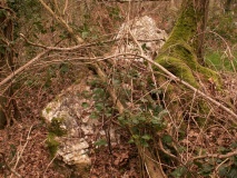 Dolmen de la Garenne (St Andre) - PID:40872