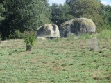 Click for full size image of La Pinochonnerie (PID:186364) La Pinochonnerie