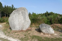 Bois du Fourgon alignements - PID:39687