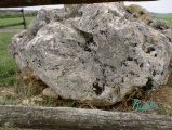 Dolmen de la Pierre Virante