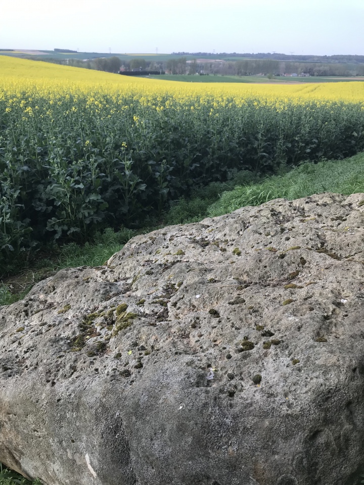 Click for full size image of Dolmen de Béalcourt (PID:201614) Dolmen de Béalcourt