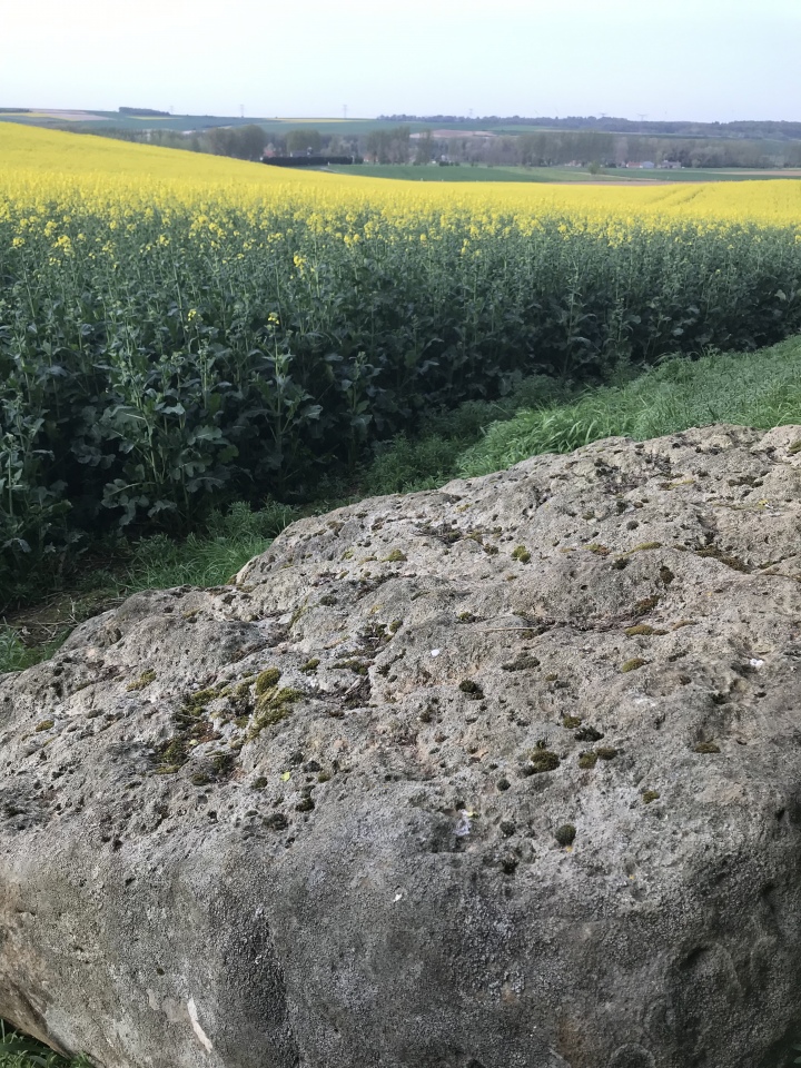 Dolmen de Béalcourt