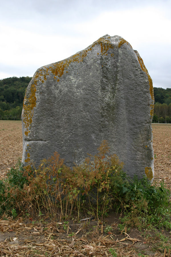 Menhir dit la Demoiselle de Rhuis (PID:151608) Menhir dit la Demoiselle de Rhuis