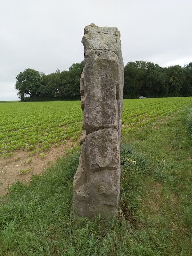 Menhir dit la Pierre d'Oblicamp