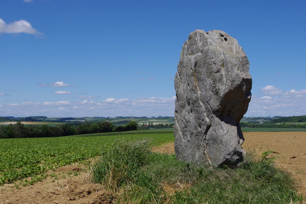 Menhir dit la Pierre d'Oblicamp