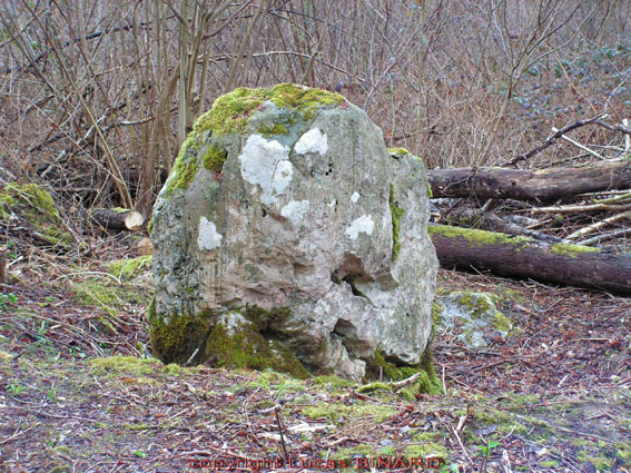 Trie-Château Menhir