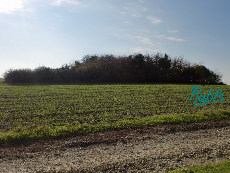 Click for full size image of Tumulus de la Motte Ronde (PID:72754) Tumulus de la Motte Ronde