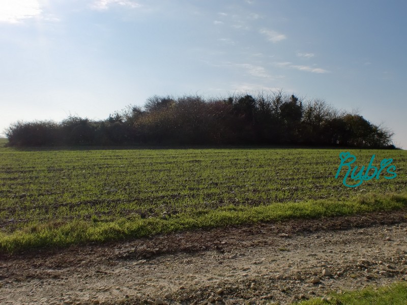 Tumulus de la Motte Ronde