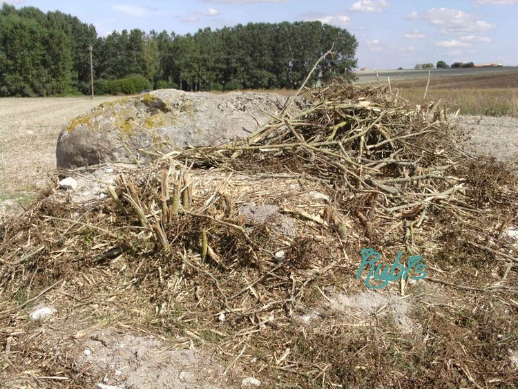  Dolmen de la Rente de Fontevrault