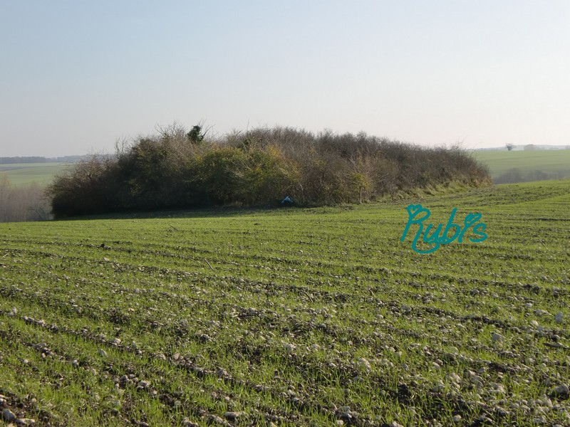 Click for full size image of Tumulus de la Motte Ronde (PID:72750) Tumulus de la Motte Ronde