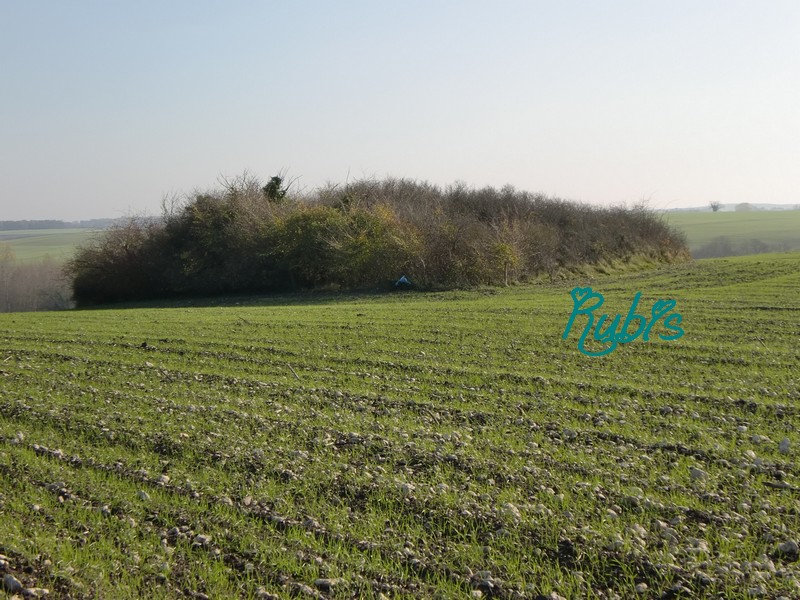 Tumulus de la Motte Ronde