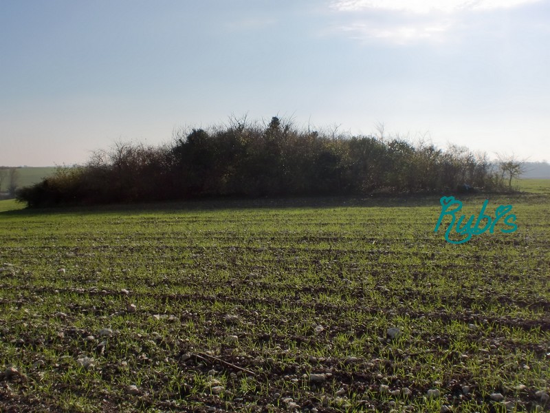 Click for full size image of Tumulus de la Motte Ronde (PID:72755) Tumulus de la Motte Ronde