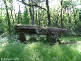 Click for full size image of Dolmen de la Pierre-Pèze (PID:17806) Dolmen de la Pierre-Pèze