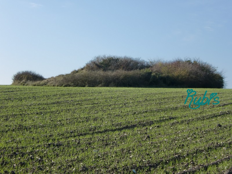 Click for full size image of Tumulus de la Motte Ronde (PID:72753) Tumulus de la Motte Ronde