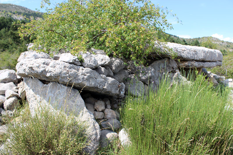 Les Pierre Blanche Dolmen