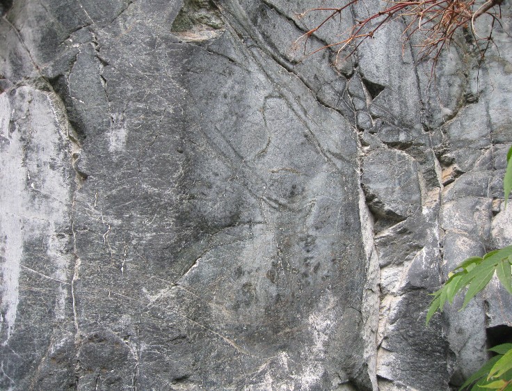 Click for full size image of Les Peintures du Rocher du Château (PID:53872) Les Peintures du Rocher du Château