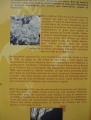 Click for full size image of Les Peintures du Rocher du Château (PID:53868) Les Peintures du Rocher du Château