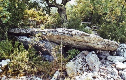 Sauts dolmen - PID:20068