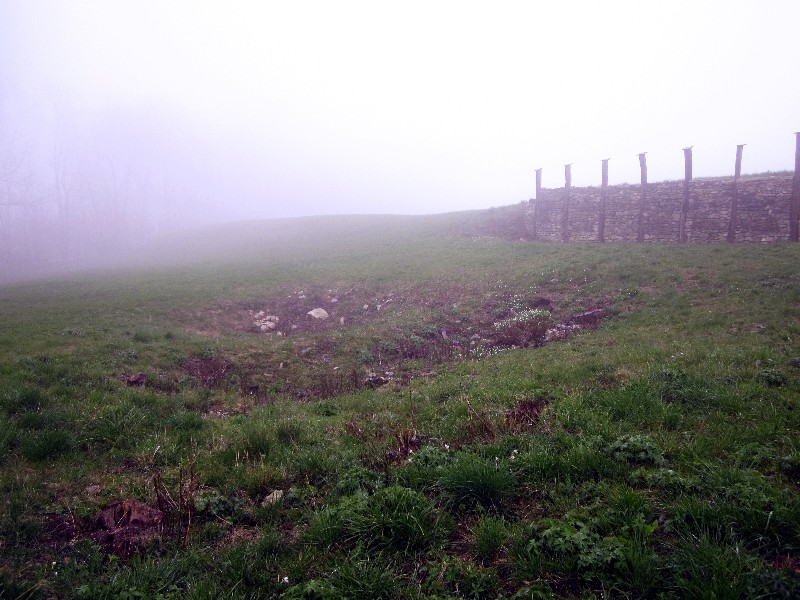 Rekonstruiertes keltisches Zangentor am Heidengraben