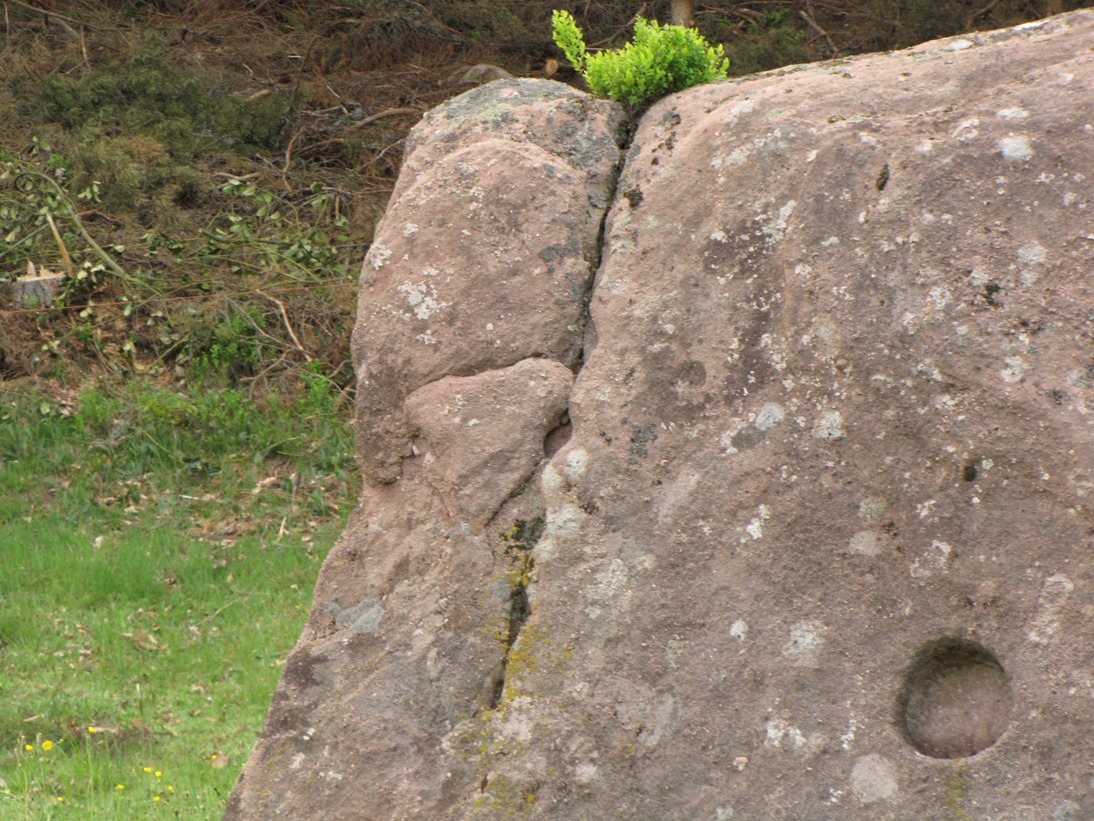 Tennenbronn Hinkelstein