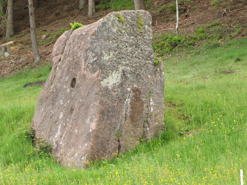 Tennenbronn Hinkelstein