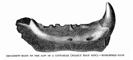Click for full size image of Hohlefels Höhle (PID:99777) Hohlefels Höhle
