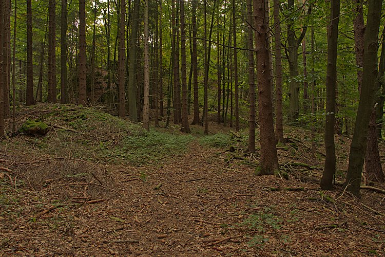 Frühkeltische Siedlung Burkartshof