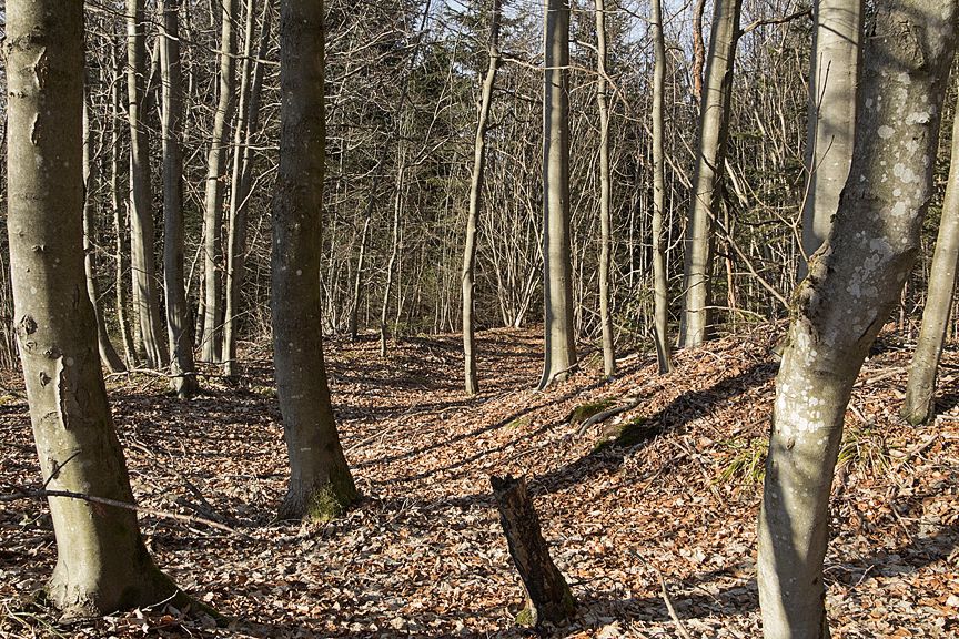 Click for full size image of Dengelstein (PID:144890) Dengelstein