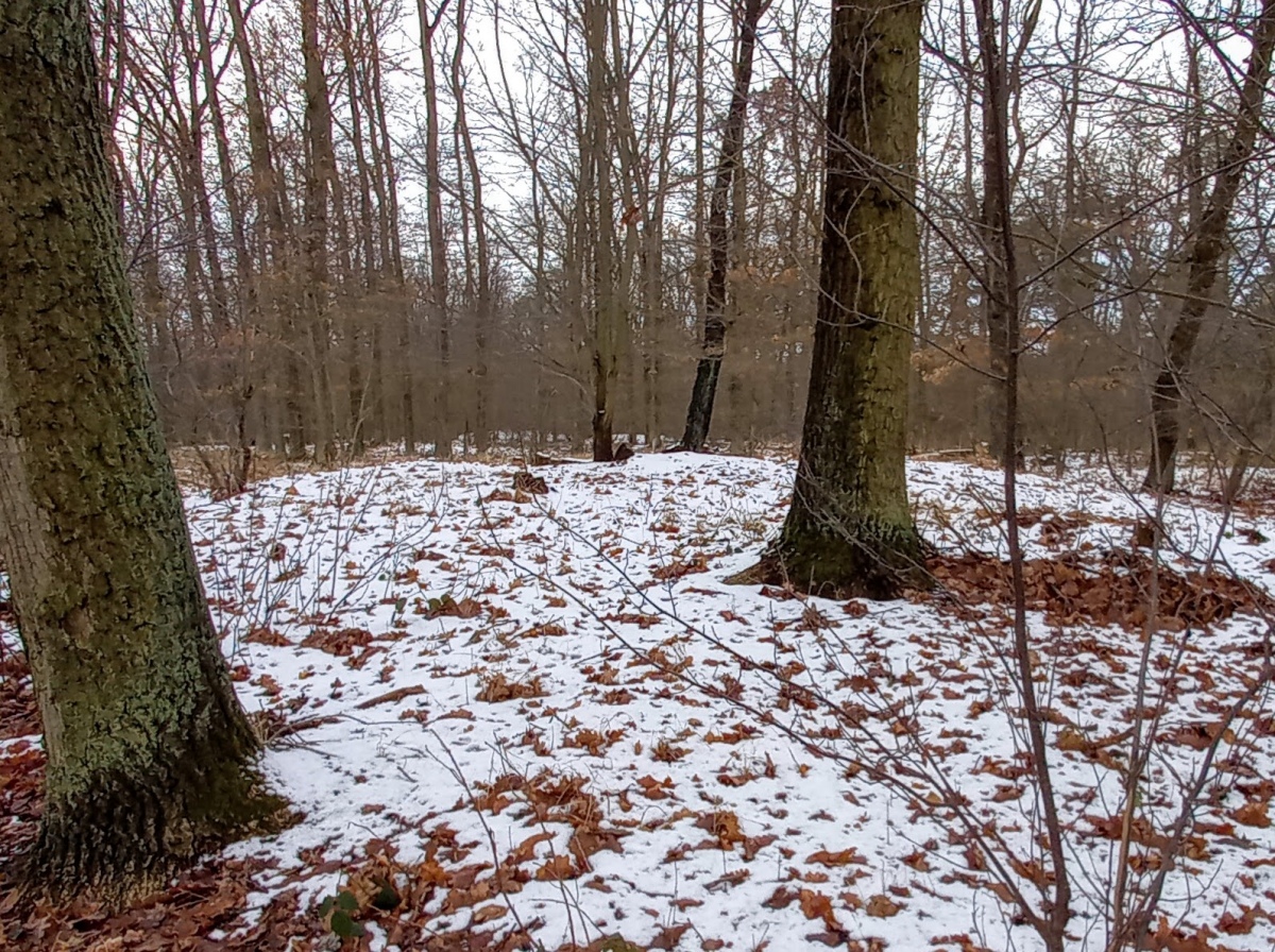 Hügelgräber Heinersdorf bei Schwedt