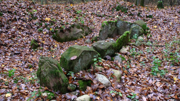 Tempelberg Steinkistengrab