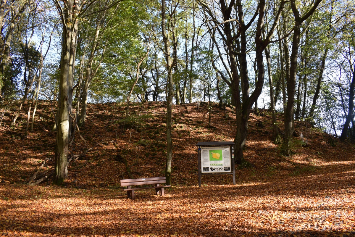 Click for full size image of Dornburg (PID:250836) Dornburg
