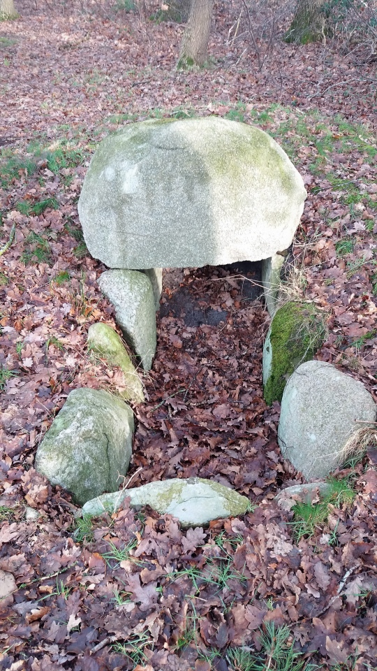 Fehrenbruch Steinkistengrab