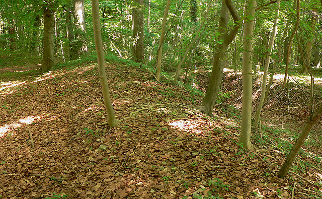 Ringwall Gehrdener Burgberg