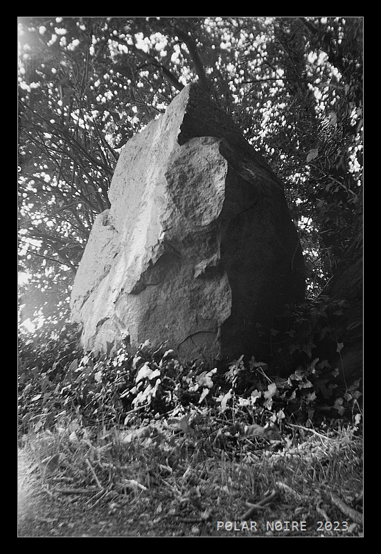 A standing stone at the begin of the path leading towards the modern stone circle marking the spot of the historic place of jurisdiction. August 2023. [photo afficionado info: taken with an Art Deco 1948 Ansco Shur Shot Box camera on Fomapan 100]