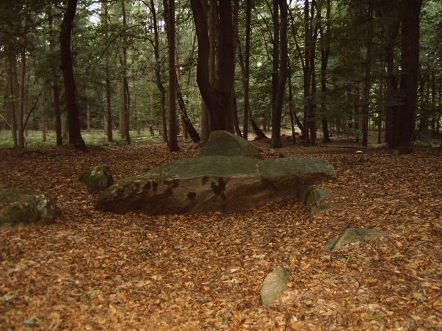 Visbek Steingrab 3