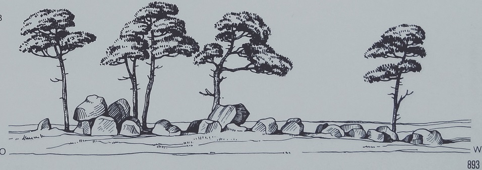Side view (1926),
Picture credits: Sprockhoff, Atlas der Megalithgräber Deutschlands, 
Teil 3: Niedersachsen (1975)
