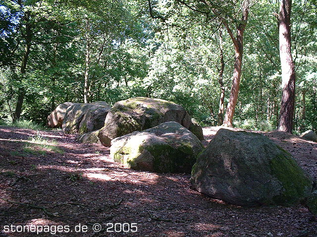 Gross Berssen Steingrab 1 'Ipeken Tannenwald'