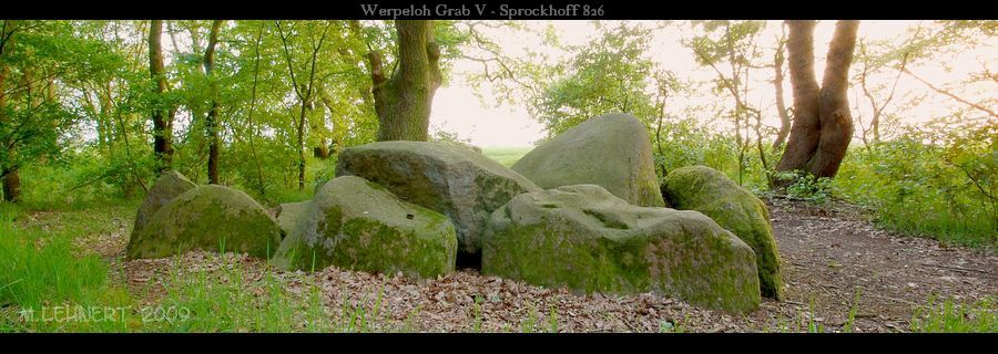 Werpeloh Steingrab 5