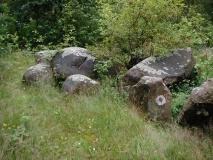 Ahlhorner Kellersteine West - PID:17435