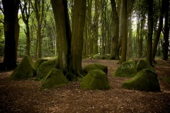 Bliedersdorf Langbett 1 - PID:49573